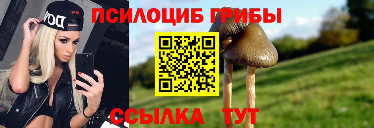 Новокубанск  Псилоцибиновые грибы прущие грибы  Вход с VPN 